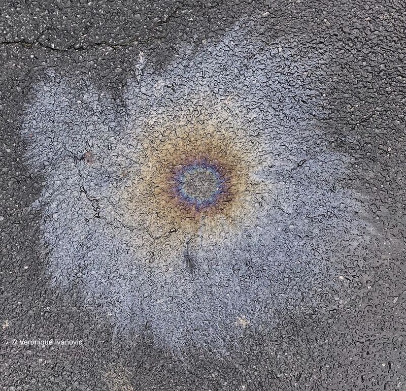 Linked 14 Moon Diversity. Photograph on the asphalt after the rain