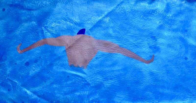 Nageur/Swimmer HAC